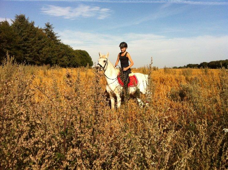 Anden særlig race Awanca - Juli 2012 billede 7