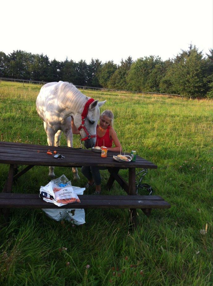 Anden særlig race Awanca - August 2012 - Aftensmad sammen med Awanca billede 10