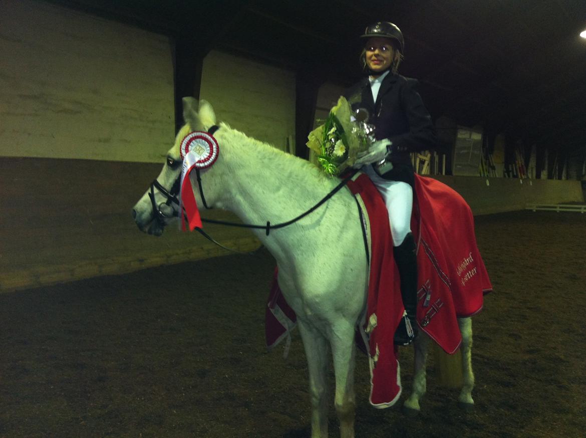 Anden særlig race Awanca - December 2012 - Klubstævne i dressur billede 12