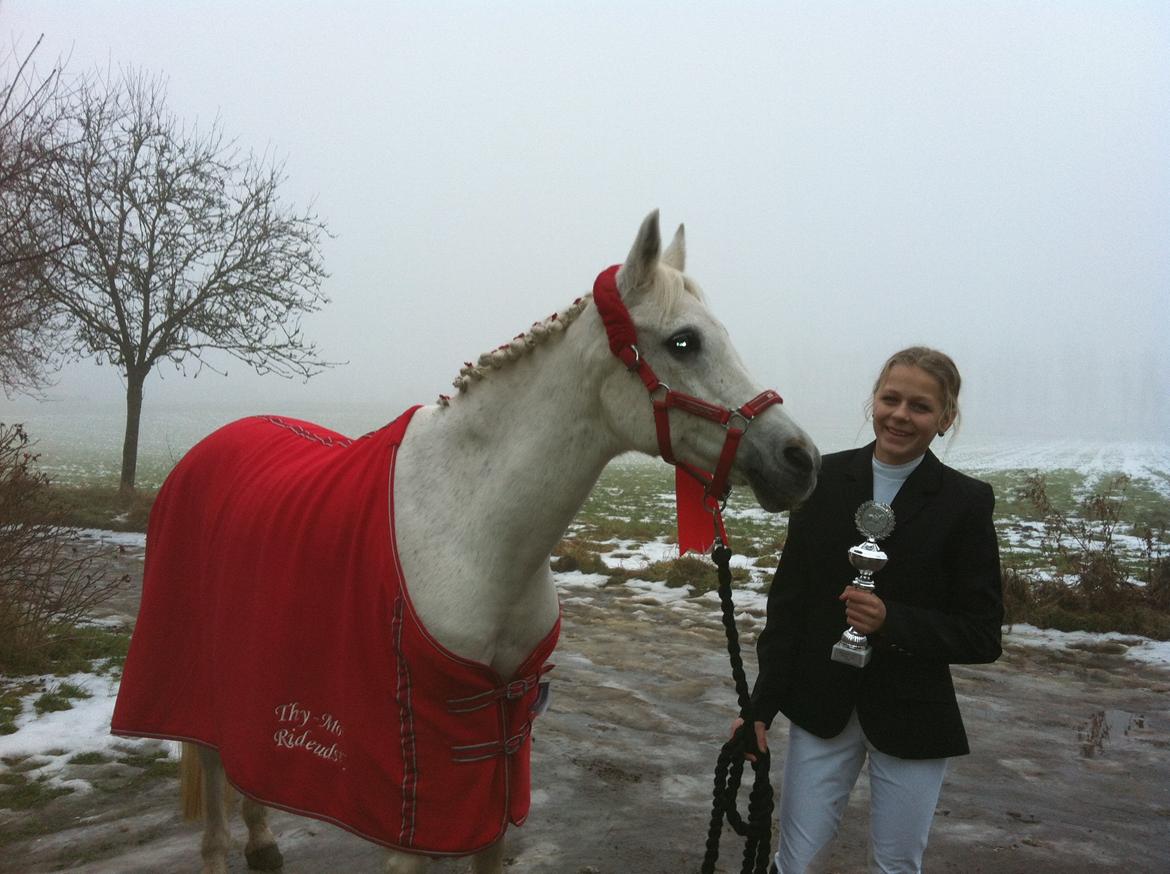 Anden særlig race Awanca - December 2012 - Klubstævne i dressur billede 13