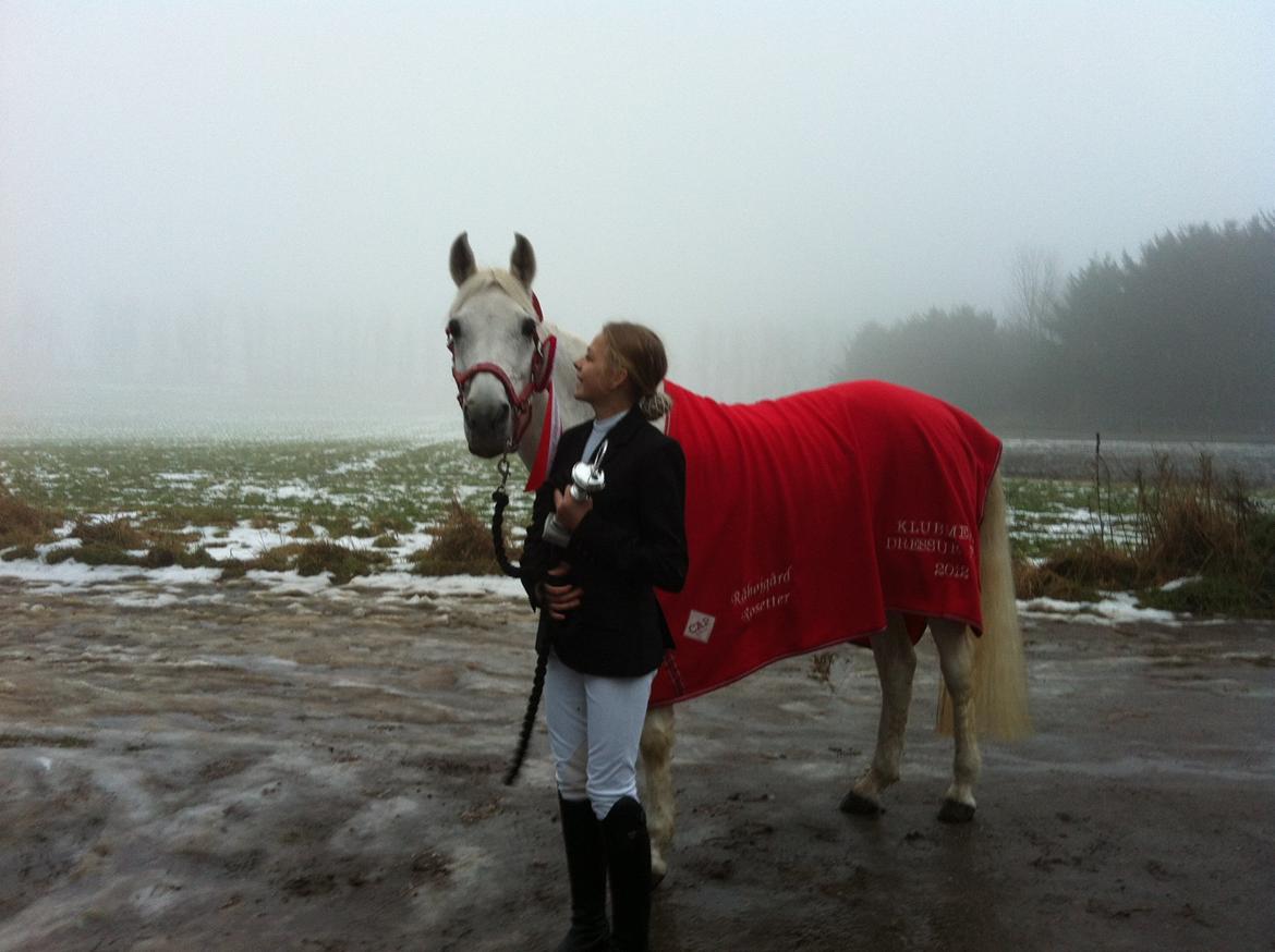 Anden særlig race Awanca - December 2012 - Klubstævne i dressur billede 14