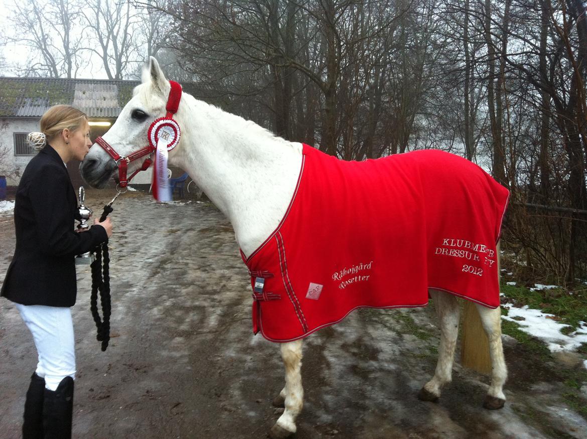 Anden særlig race Awanca - December 2012 - Klubstævne i dressur billede 15