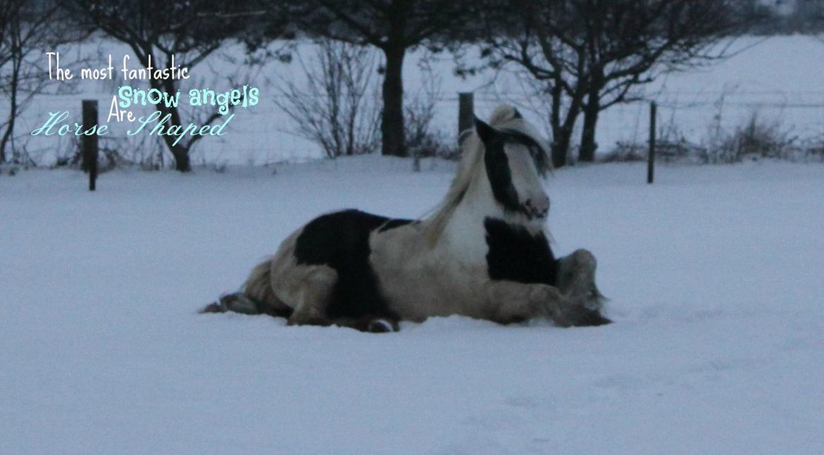 Tinker Maja - The most fantistic snow angle is horse shaped <3 billede 4