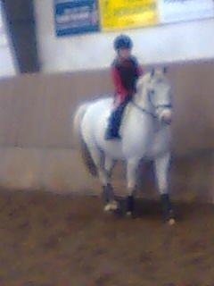 Sportsaraber (A) Timian - Melanie og Timian,s første undervisnings time på rideskolen billede 5