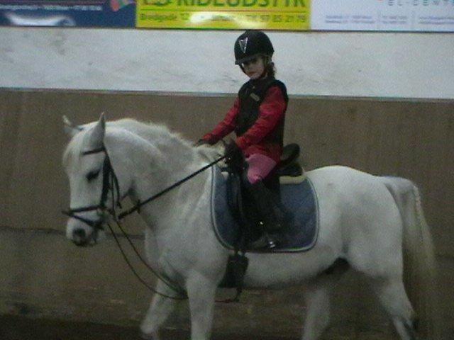 Sportsaraber (A) Timian - De går op i deres time billede 6