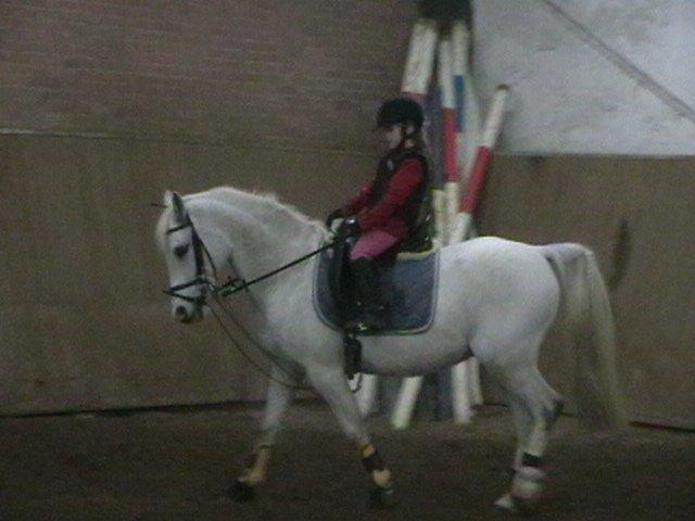 Sportsaraber (A) Timian - De er meget optaget af undervisningen de to.-) billede 8