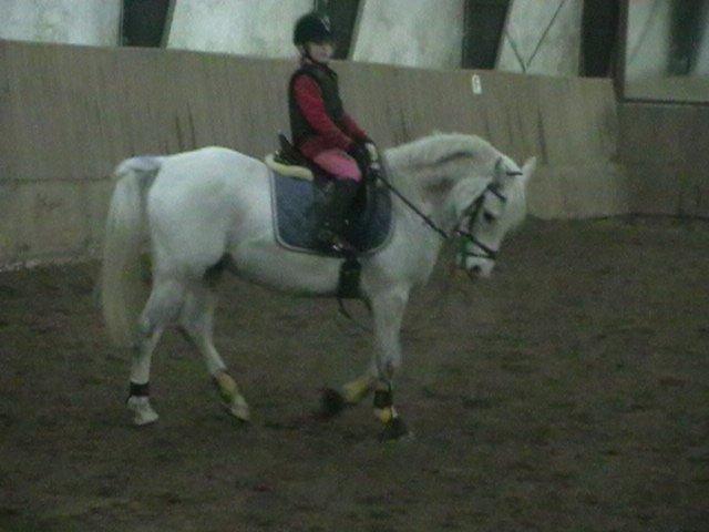 Sportsaraber (A) Timian - De skal nok lære det sammen de to billede 9