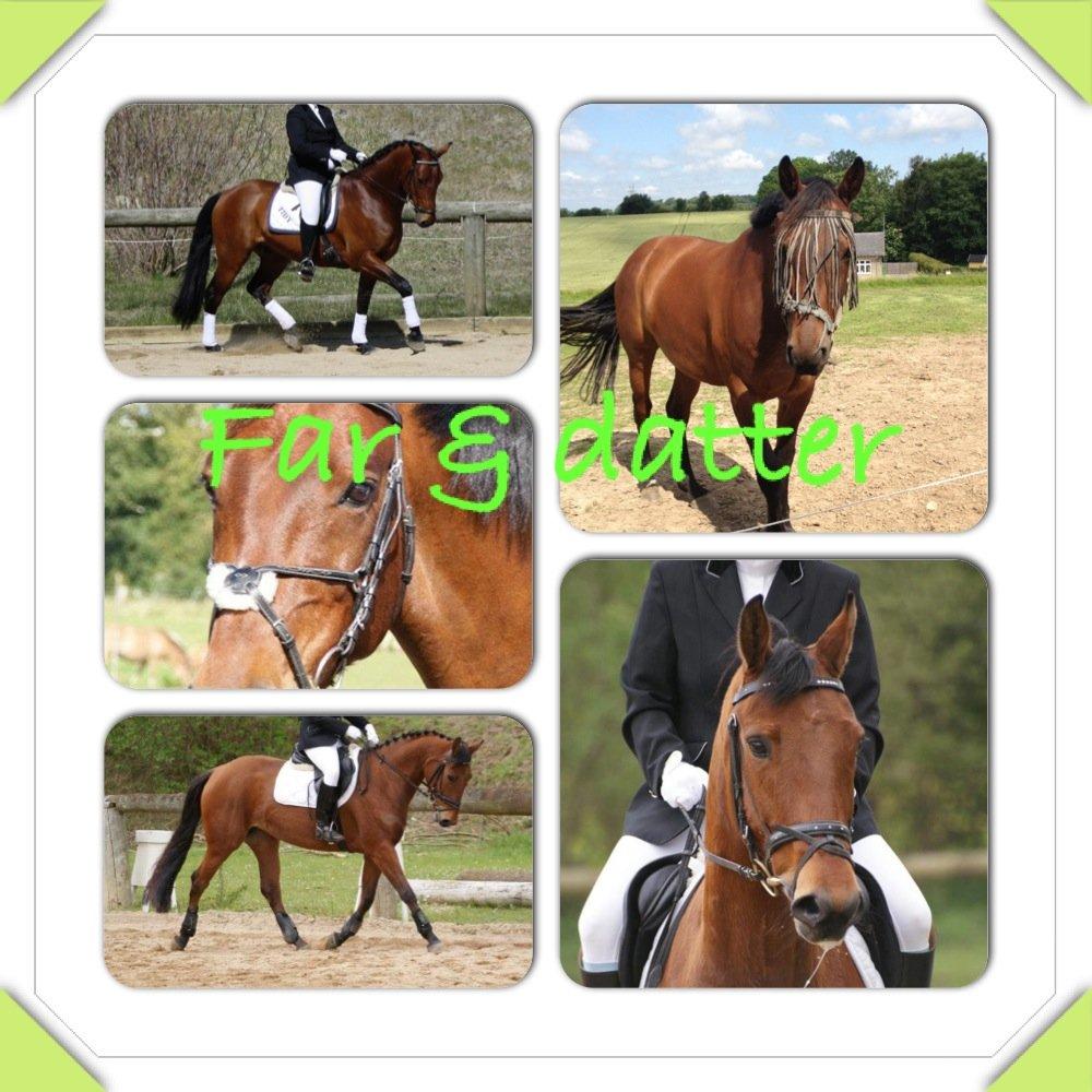 Pinto Elkær's Tidy<3 - Tidy og datter - tera <3  billede 20