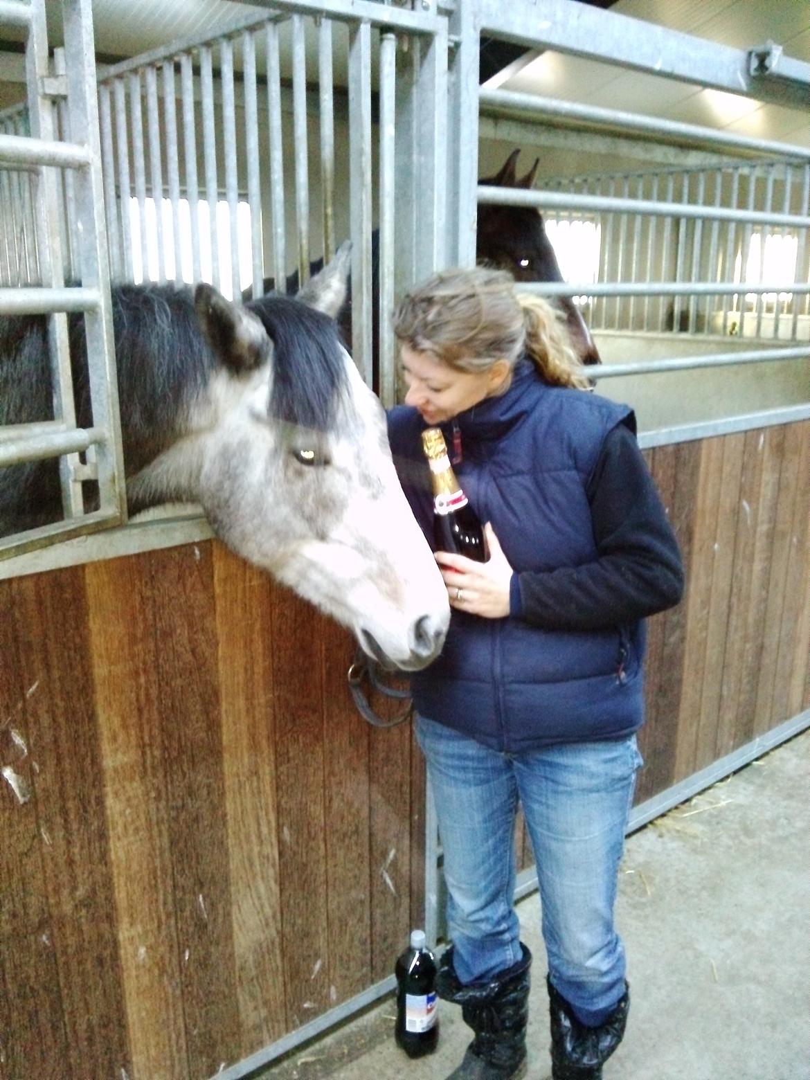 Fuldblod (XX) Silver Shine (IRE) - Skål i champagne og godt nytår.. Silver blev min d. 31/12-12 billede 13