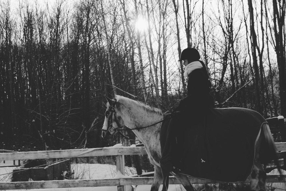 Anden særlig race Doo Dee billede 1