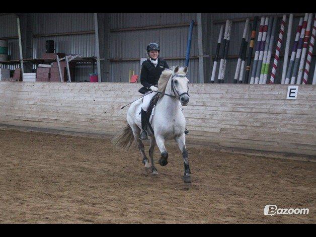 Anden særlig race Luka billede 5