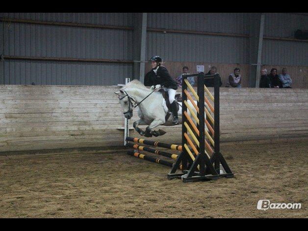 Anden særlig race Luka billede 4