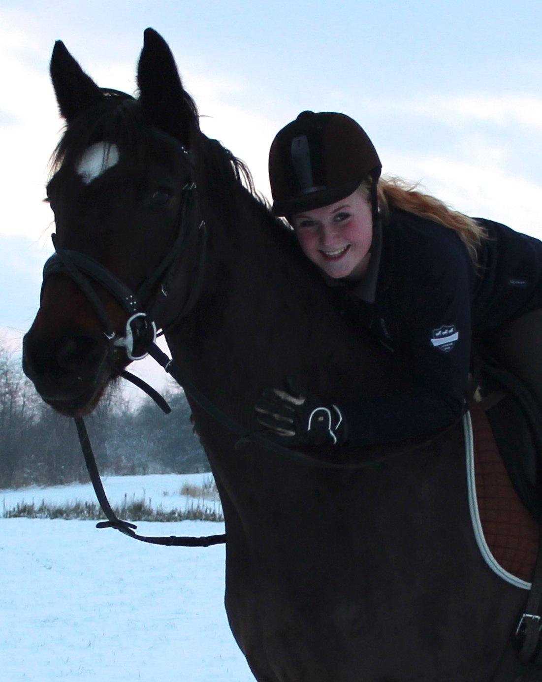 Dansk Varmblod Birkevangens Breezer - Dejlige hest ;)  billede 1