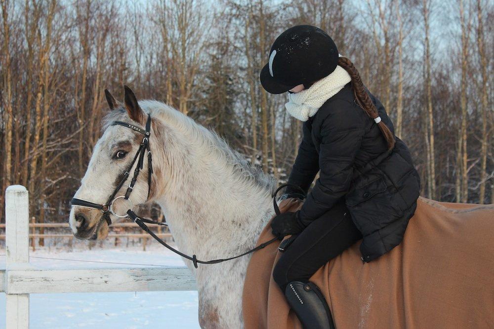 Anden særlig race Doo Dee billede 4
