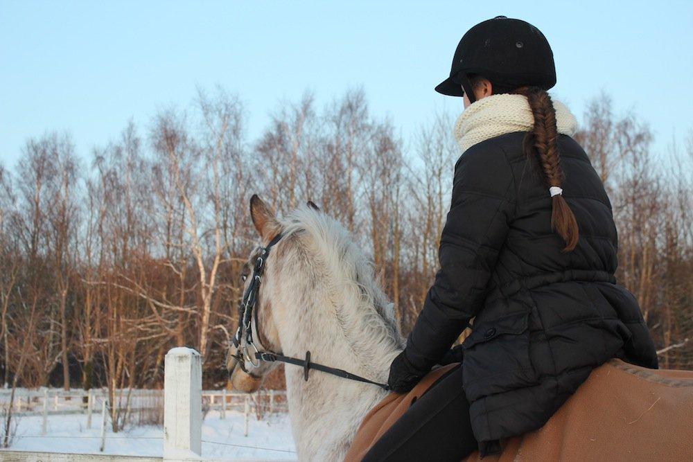 Anden særlig race Doo Dee billede 5