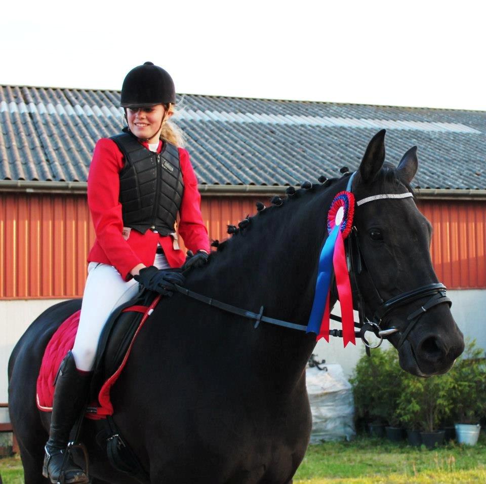 Dansk Varmblod Amy<3 Stjerne på himlen <3 - Nyt! 
Fra et springstævne i sommers:-)

Stjernehesti <3 billede 19