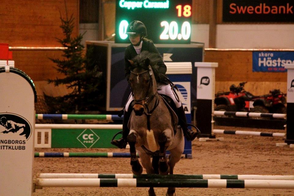 Irsk Sportspony Copper Caramel - Min stjerne og mig i Helsingborg ;)
Foto: OD Foto billede 10