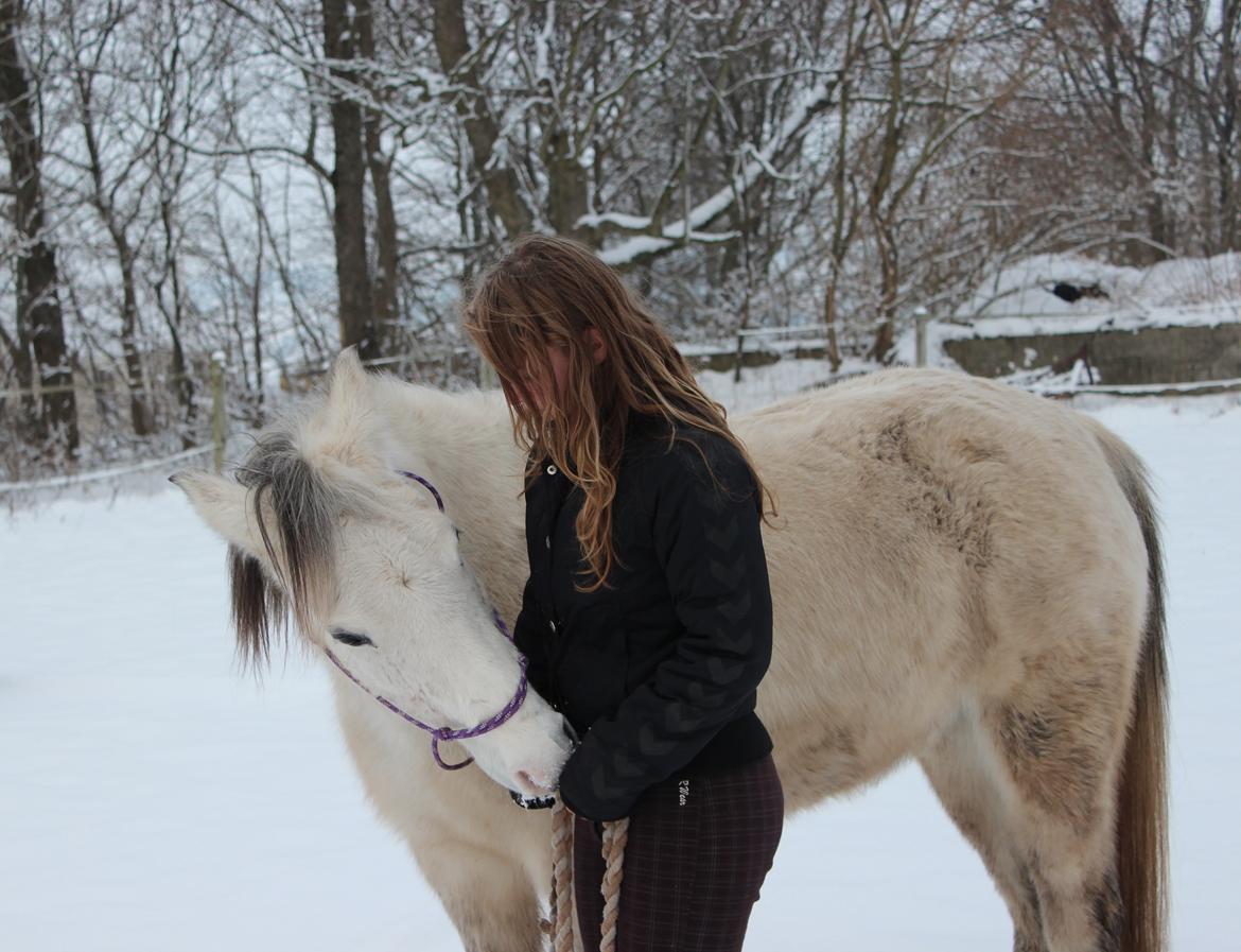 Anden særlig race Schødtsmindegårds Jody - ♥ billede 12