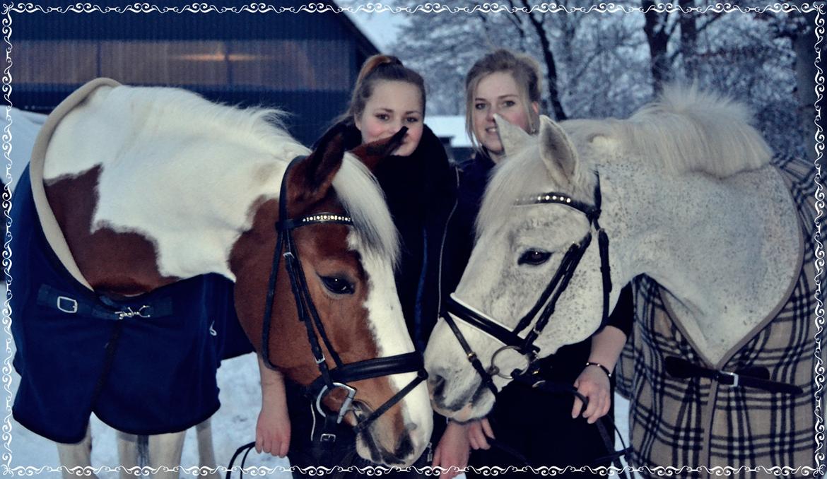 Anden særlig race Araber/Sportspony ¤TONI¤ - D. 16-01-2013. Medina og Toni og Annemette og jeg. <3 billede 19