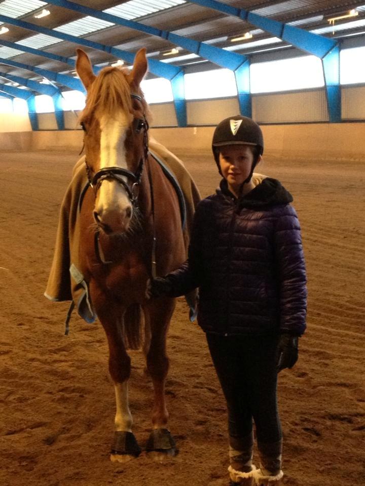 Engelsk Varmblod Edward - Det er ikke bare en hest, men min hest som betyder utrolig meget for mig <3 billede 16