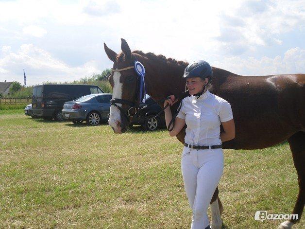 Dansk Varmblod Salsa Danica - 4. års championat  billede 3