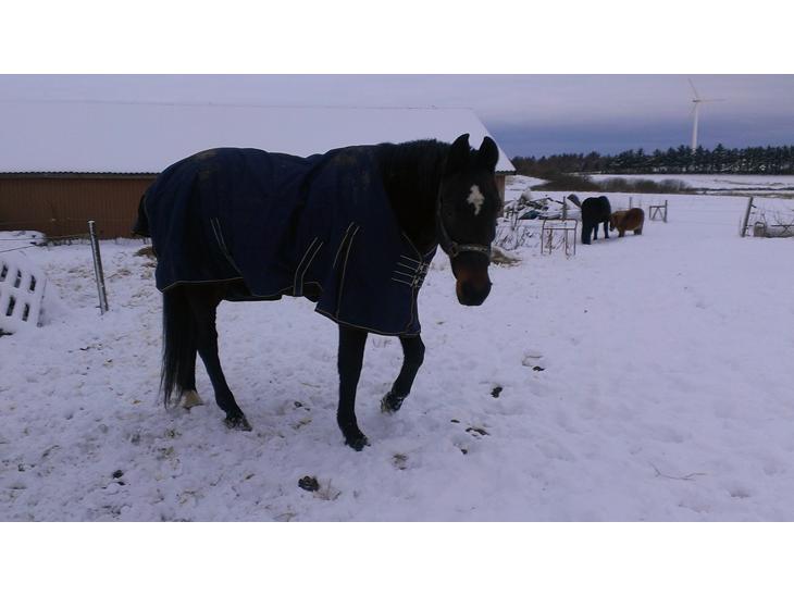 {{currentPhoto.altText}} billede {{currentPhoto.number}}