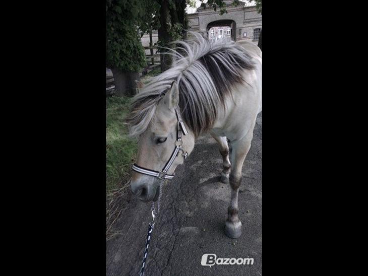 {{currentPhoto.altText}} billede {{currentPhoto.number}}