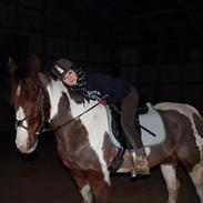 Paint Westfarm Moonlight