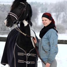 Anden særlig race Cheval