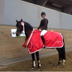 Holstener Carlos "Solgt til USA"