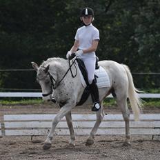 Anden særlig race Hot'n Tot A-PONY