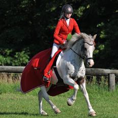 Anden særlig race Hot'n Tot A-PONY