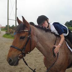 Anden særlig race Magic mix