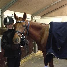 DSP Eldarion Telcontar TT (Dario)