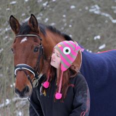 Dansk Varmblod Bøgegårdens Lands-River (Lancelot)