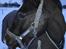 DSP >> Tovdal's Machon << |SOLGT|