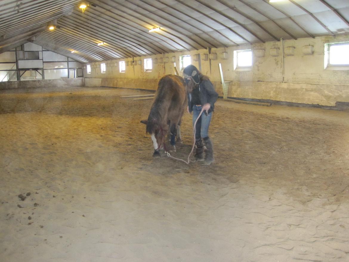 Anden særlig race Luna billede 16