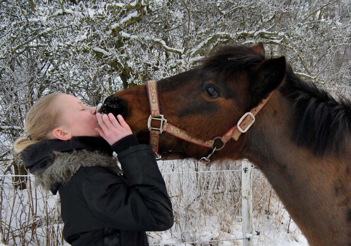 Anden særlig race Isabell  RIP  - vinter hygge! 2013 forevigt min skønne skabning! billede 17