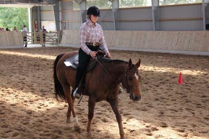 Paint Gambler's Harlequin billede 9