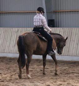 Paint Gambler's Harlequin - show 2012 billede 11