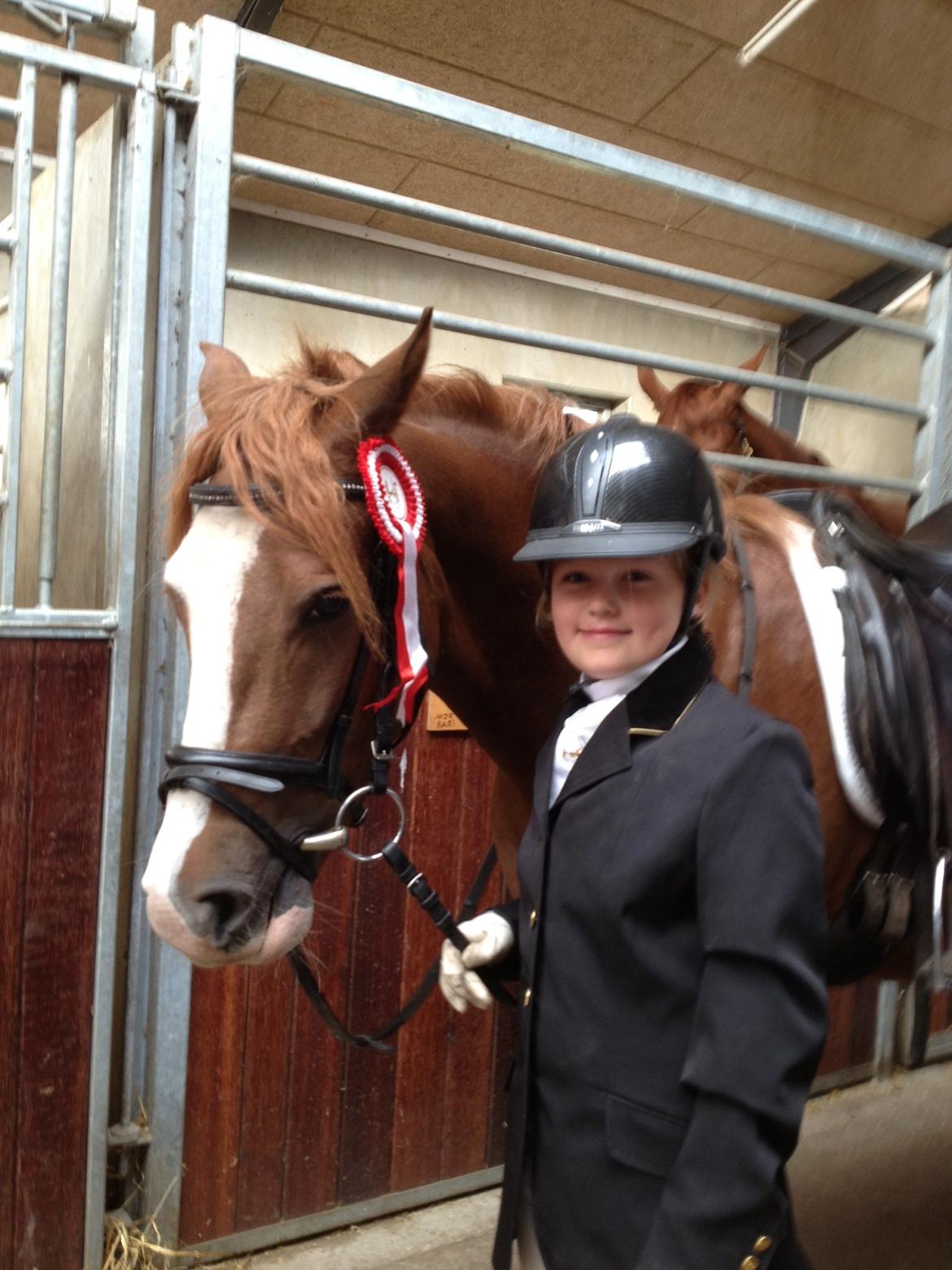 Anden særlig race Skikkilds Felis - Julie vandt en 1. plads på Stutteri Skikkild i september 2012 billede 1