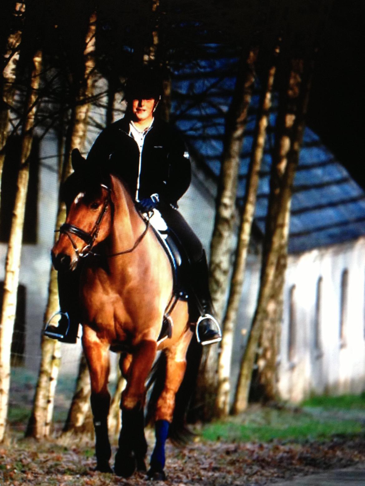 Sportsaraber (A) Youngstar Lukas - Mit Liv <3 - Vores sidste tur <3 Får ingen som dig stjerne <3 billede 12