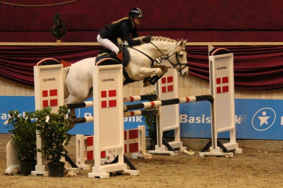 Anden særlig race CastleFarm Jimmy Blue B-pony - Baltic finale - stor tur  billede 16