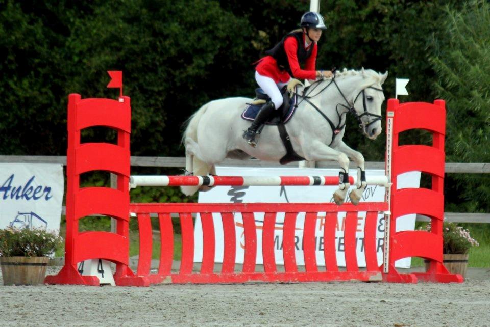 Anden særlig race CastleFarm Jimmy Blue B-pony - ma* på capacity billede 19