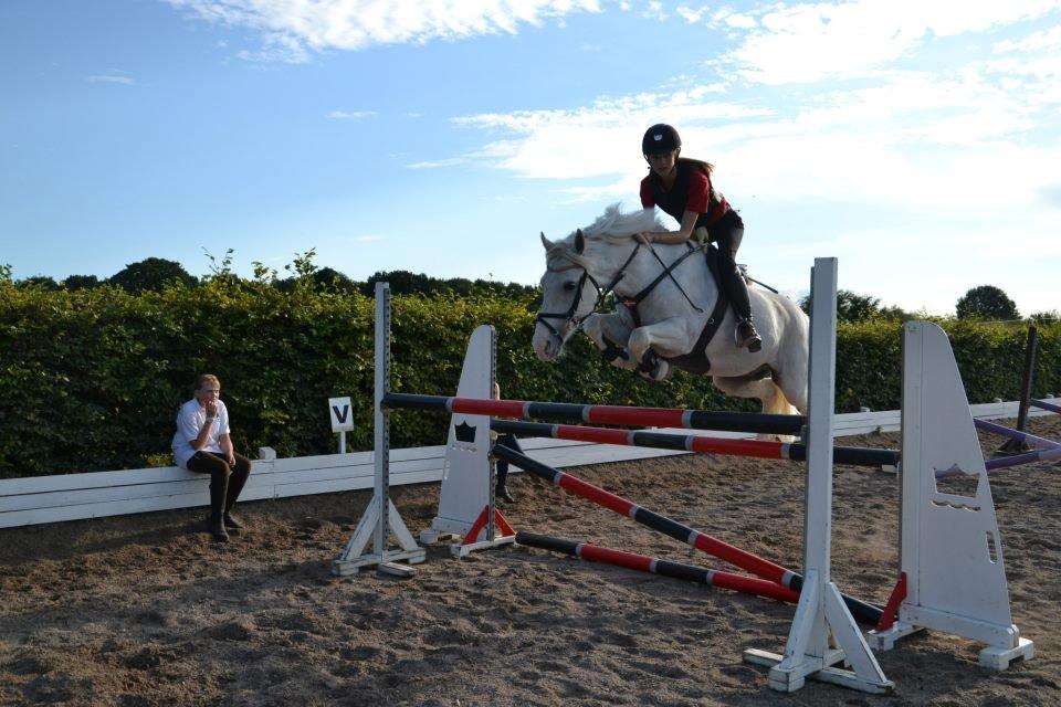 Anden særlig race CastleFarm Jimmy Blue B-pony - træning <3 billede 20