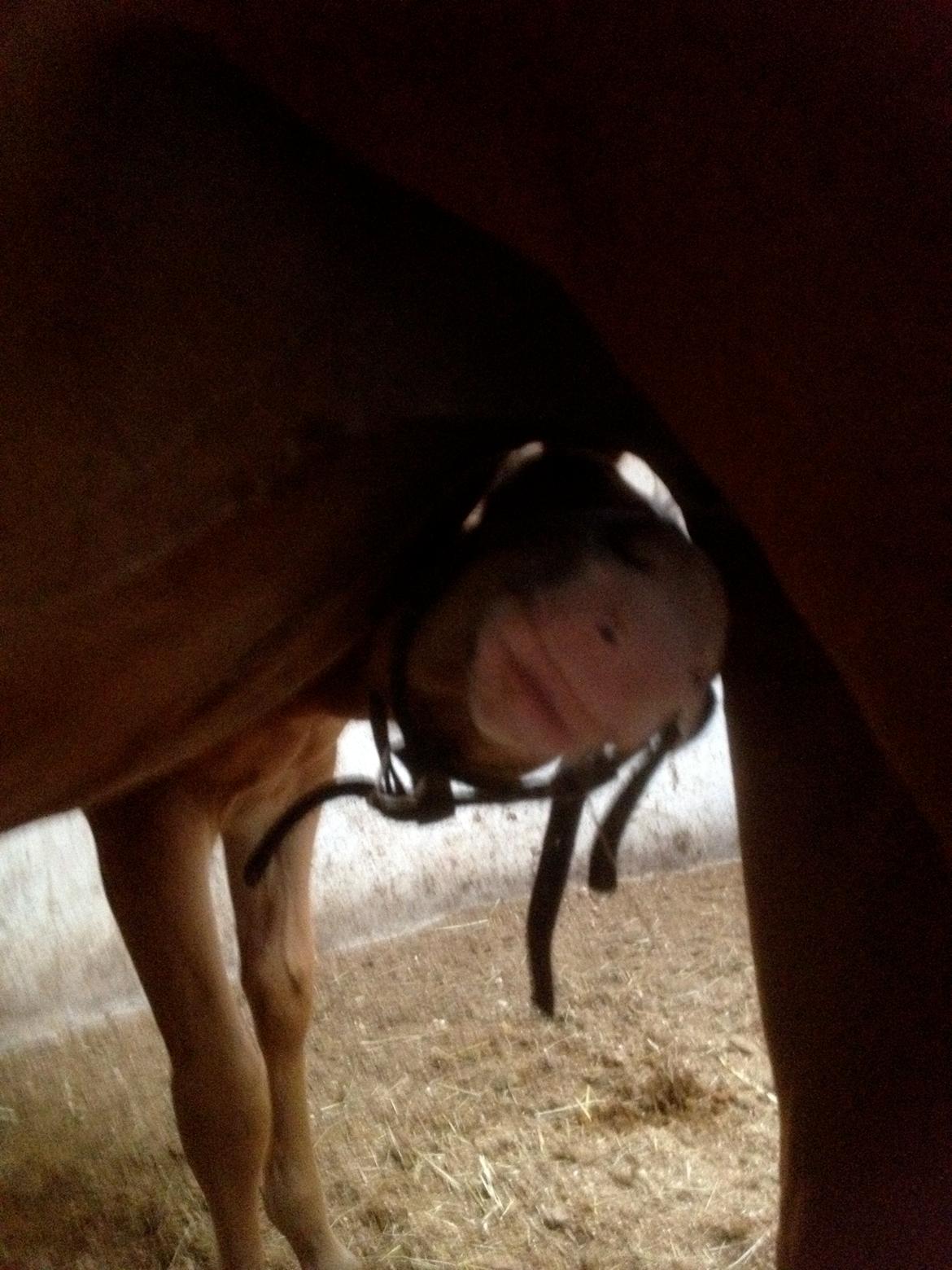 Paint HINTCOLONELJUSTINTIME - Mors goe babs billede 4