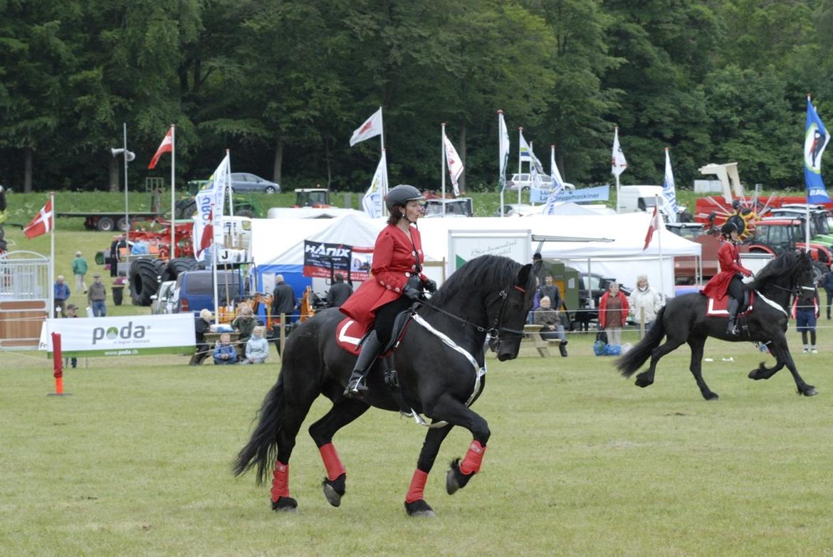 Frieser Quinzi - Gl. Estrup 2011  billede 20