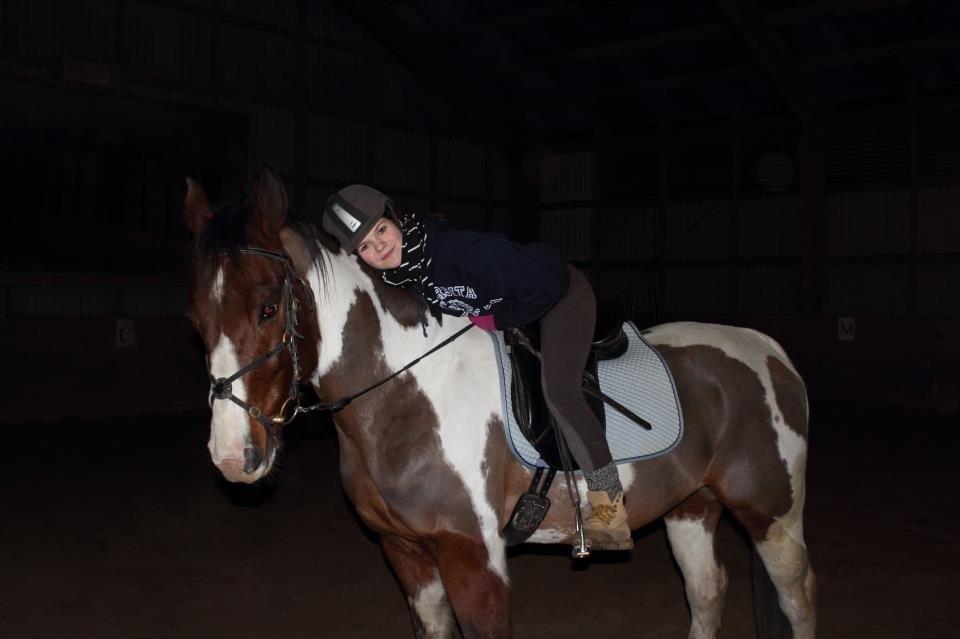 Paint Westfarm Moonlight - Min bamse<3 billede 4