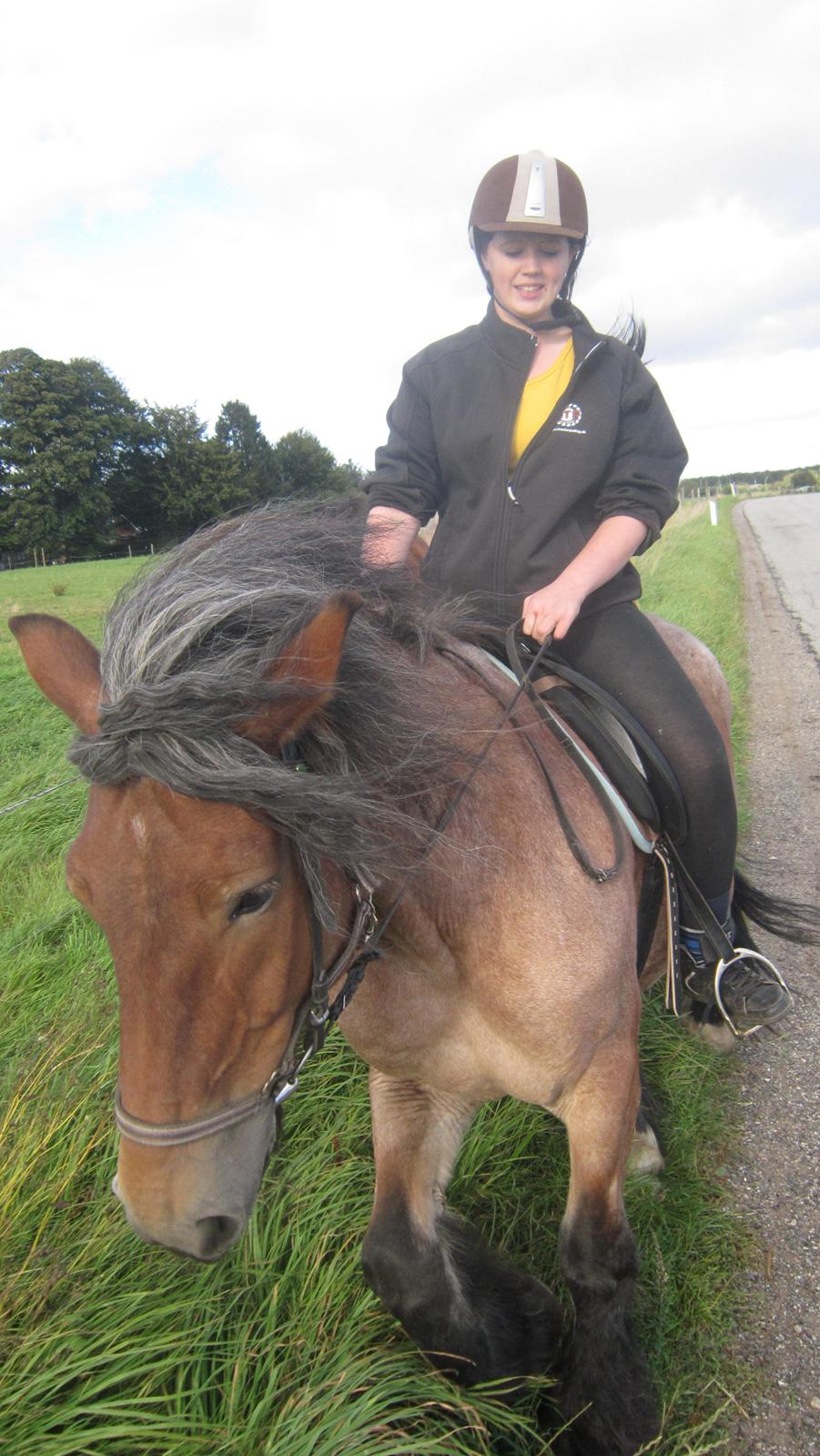 Belgier Freja billede 6