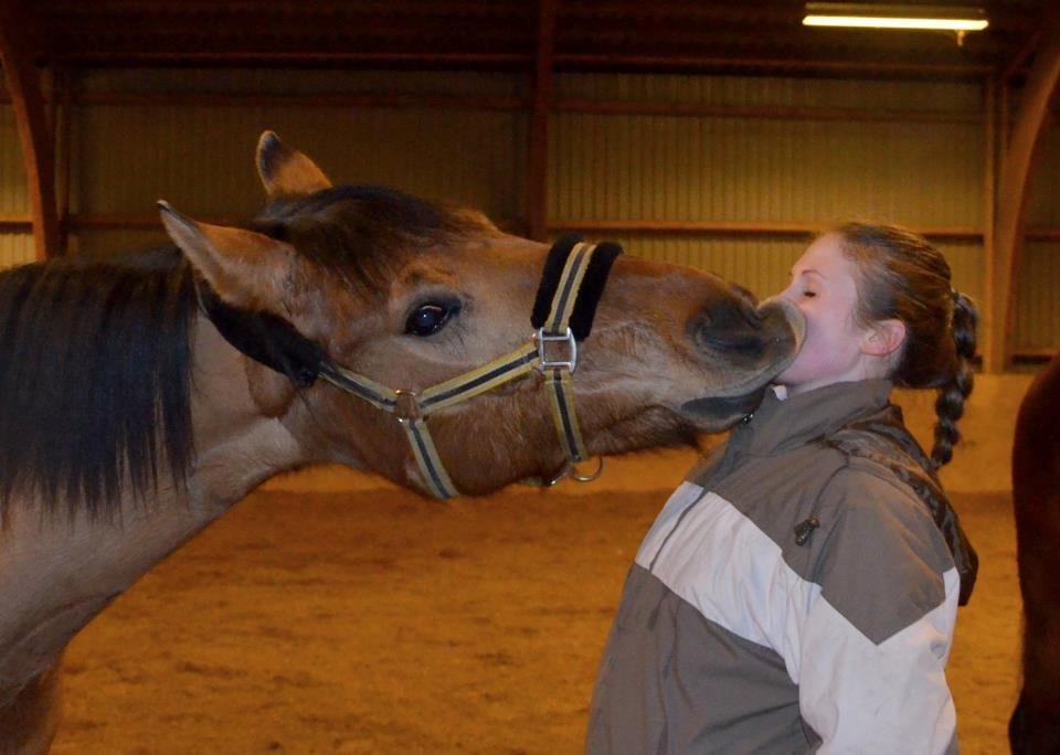 Anden særlig race Tequiro Sunset | Tio | <3 - Mysser på kommando .. <3 billede 8